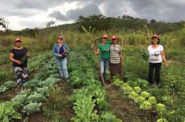 Acampadas há duas décadas, famílias produtoras do Café Guaií sofrem ameaça de despejo