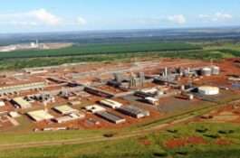 Venda da UFN3 pode afetar o agronegócio e influenciar nos preços dos alimentos