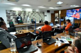 Sindipetro-AM vai ao Senado Federal para barrar venda da Reman