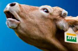 Petrobrás, “vaca leiteira” dos mercados?