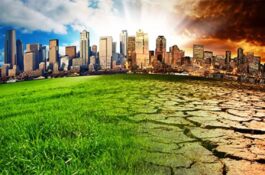 Pesquisa aponta desafios dos brasileiros para enfrentar as mudanças climáticas