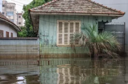 Eles veem oportunidade na tragédia no Rio Grande do Sul