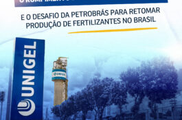 Após romper contrato de tolling com Unigel, quais serão os próximos passos para viabilizar produção das Fafens BA/SE?