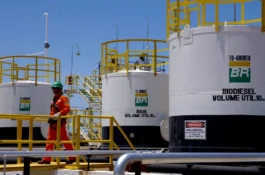 Petrobrás entre o curto e o longo prazo