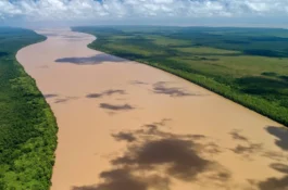 Petrobras inicia obra exigida pelo Ibama para licença na Bacia da Foz do Amazonas