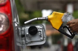 Gasolina E32 começa este sábado (1º): veja cuidados com o carro